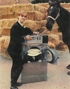 Paardendekens